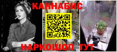 дмт Будённовск