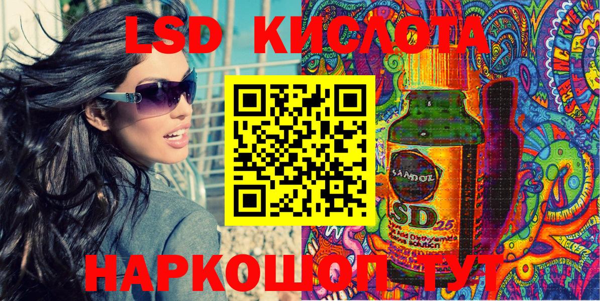 Псилоцибиновые грибы Новоалтайск