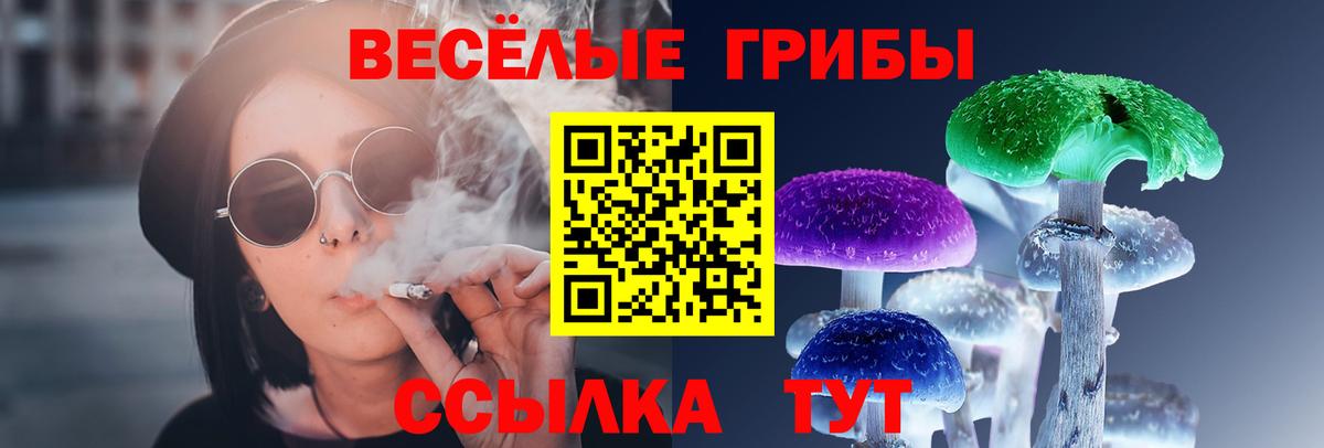 Новоалтайск  Псилоцибиновые грибы мухоморы  Вход с VPN  цены   Галлюциногенные грибы прущие грибы 